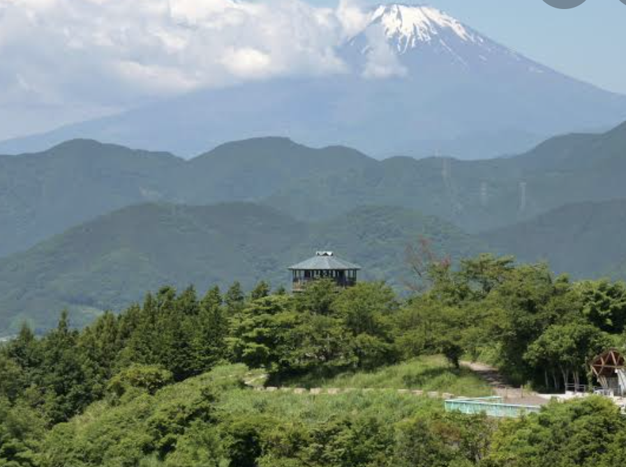 秦野市画像